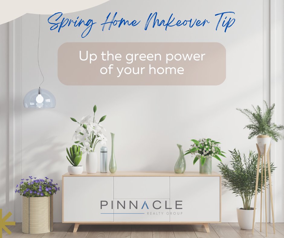 val_pasquini's tweet photo. Spring is around the corner, so why not add some green power for a little extra pop!
#spring2023 #springmonth #march #greens #plants #bloom https://t.co/7kKGToLqto