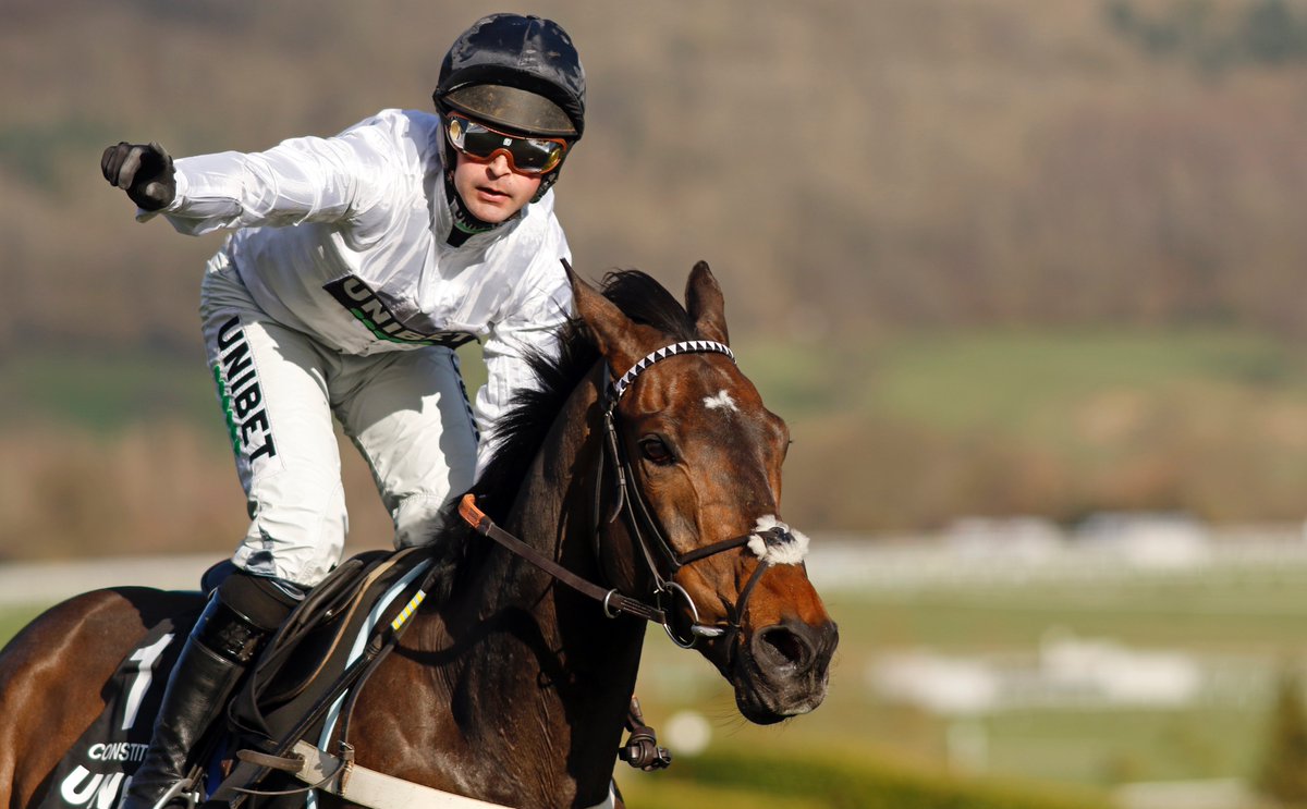 きくえ on Twitter "RT bloodstocknews 💥 What a performance! 💥 💫