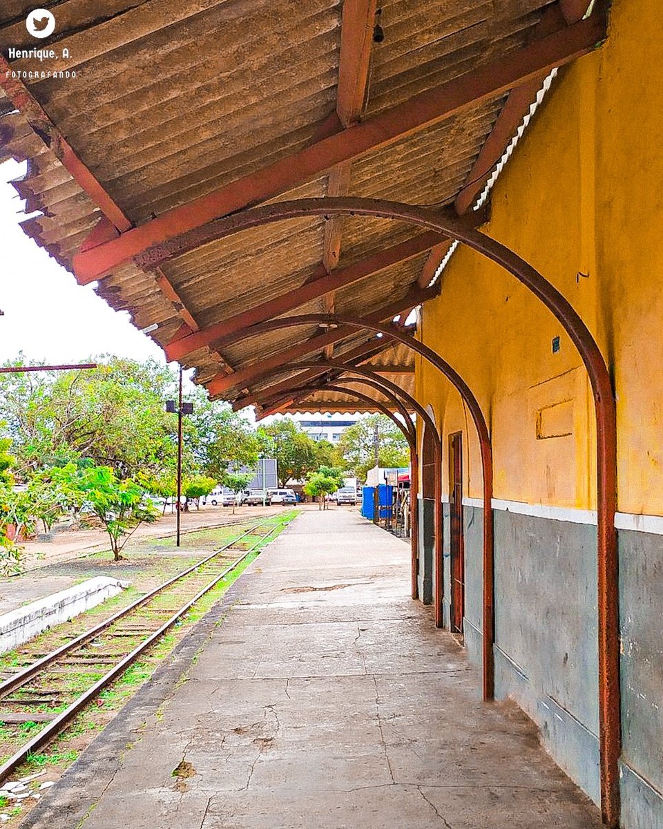 Henriquer_Ah's tweet photo. Inauguração da Estação Ferroviária de Carpina 1882.

Inaugurada em 20 de fevereiro de 1882, o prédio da estação ferroviária é um dos imóveis mais antigos da cidade.
.
.

📍Centro, Carpina - PE.
📸 Alexandre Henrique.
.
.

#Pernambuco #Photography #Trem #Carpina #Alexandree_hr https://t.co/wcU1WuUUPM