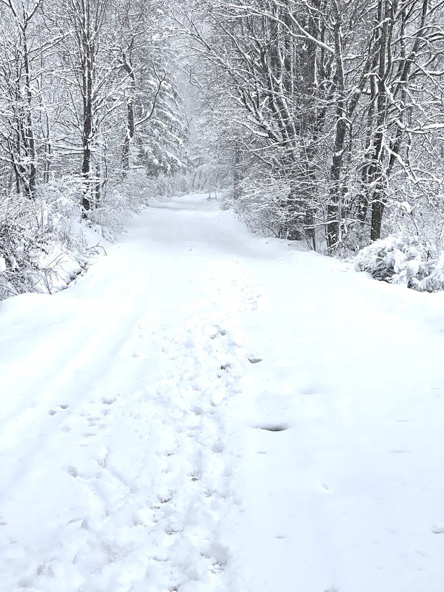 Fred Dust tweet media