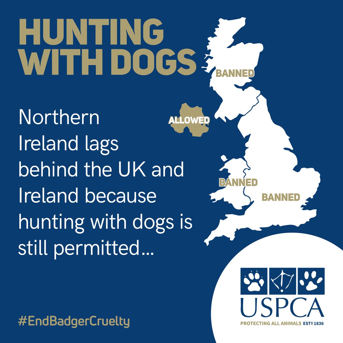 Northern Ireland is the only part of the U.K without specific legislation relating to hunting with dogs.  The USPCA calls on MLA's to support legislation to ban hunting wild animals with dogs. 

#EndBadgerBaiting #AllAnimalsMatter #EndBadgerCruelty #USPCA