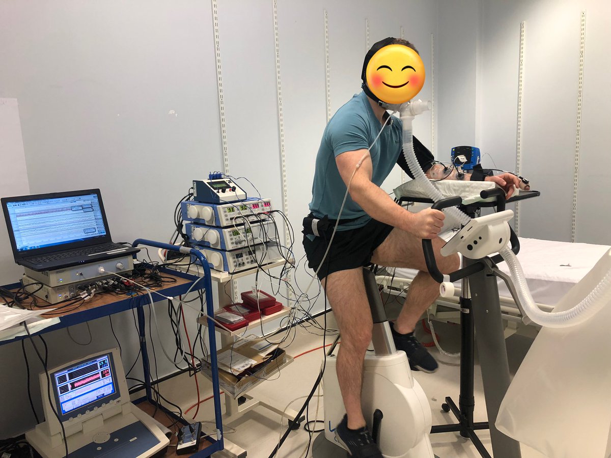 Marcelle Paula-Ribeiro, PhD tweet media