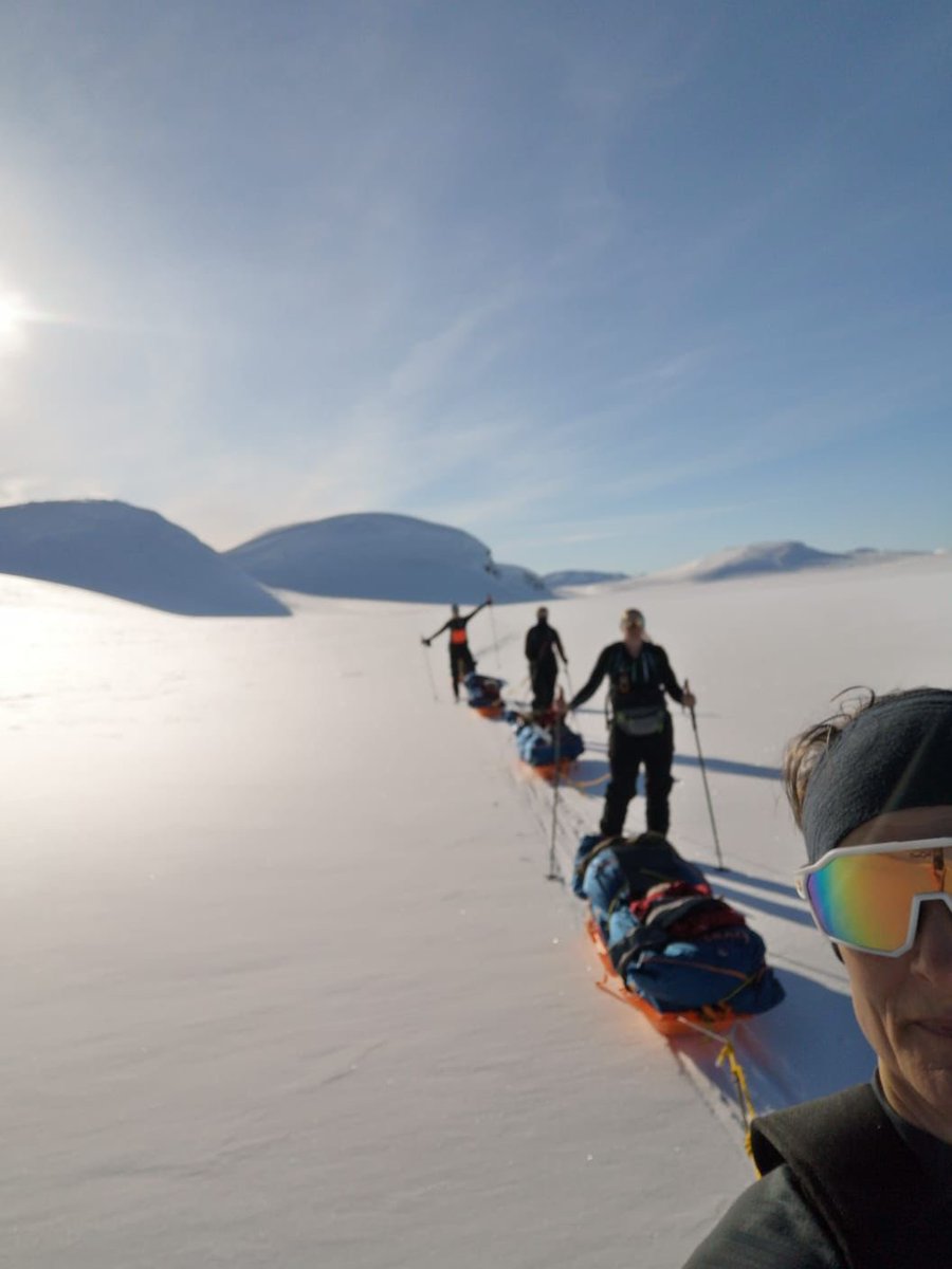 Antarctic Fire Angels tweet media