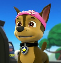 hoangkhang5686's tweet photo. Chase wear girlfriend Skye's swim cap #pawpatrol #dailyChase https://t.co/KaPIx20ick