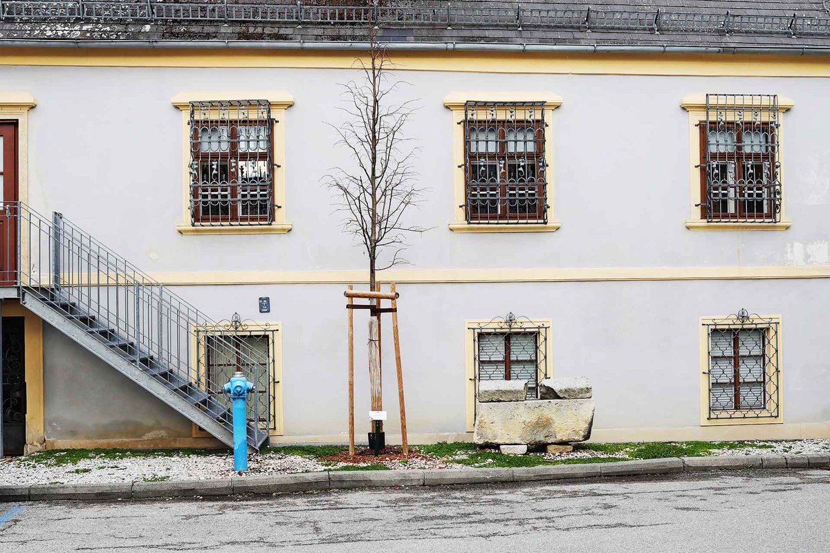 "Eine Schaustellung von Ghetto-Altertümern im ersten Judenmuseum des Reiches", ... eine Fundgrube von Zeugnissen des uns religiös und rassisch fremden Talmudgeistes... 
Die NS-Presse über das von Alexander Sandor Wolf gegründete Landesmuseum:

ojm.at/blog/2023/03/1…