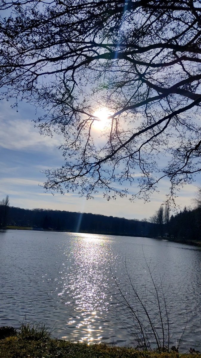 Diane_Mooon's tweet photo. Précieux moments autour du lac 😌🥰✨

#photodujour #photooftheday #photo #photographie #photography #nature #lake #Contrexville #healingmoment #purplevibes 💜 https://t.co/GKLSu2JjEv