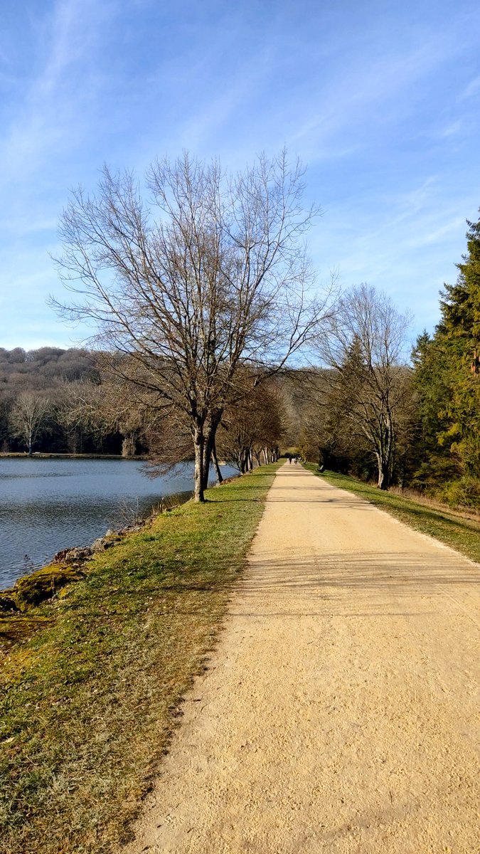 Diane_Mooon's tweet photo. Précieux moments autour du lac 😌🥰✨

#photodujour #photooftheday #photo #photographie #photography #nature #lake #Contrexville #healingmoment #purplevibes 💜 https://t.co/GKLSu2JjEv