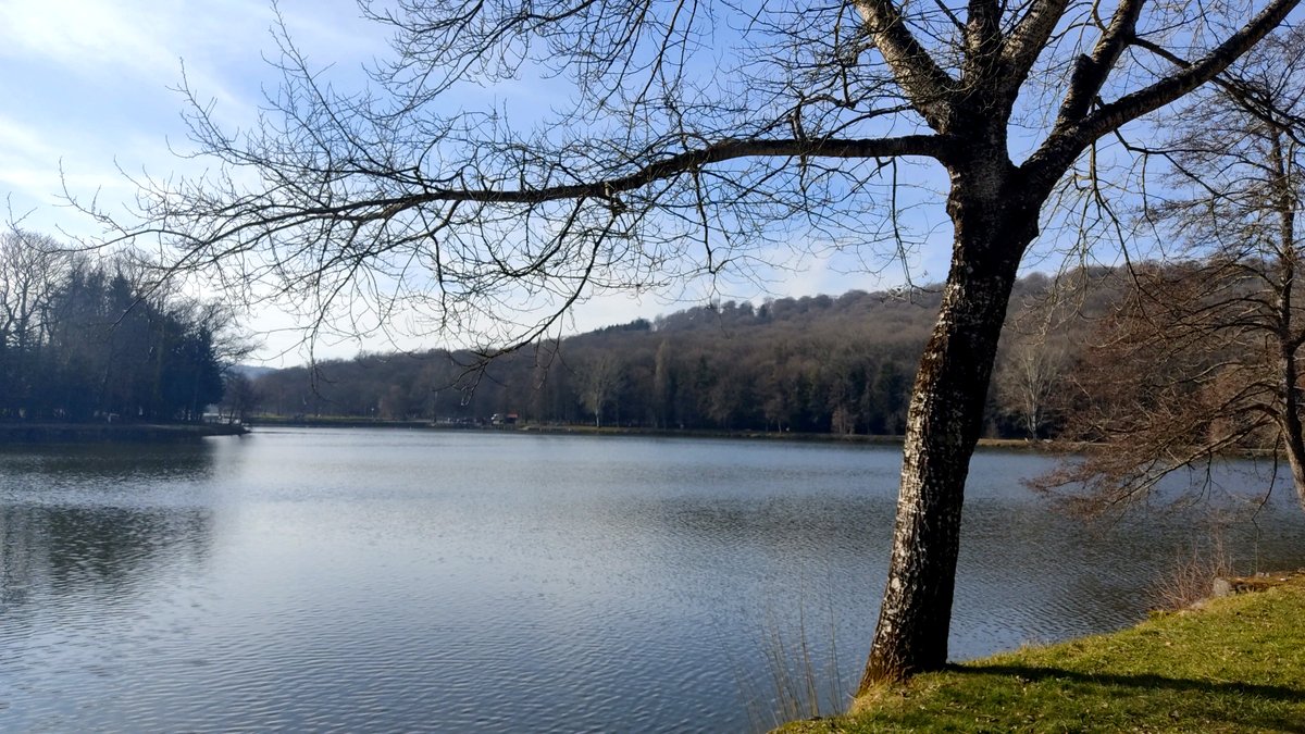 Diane_Mooon's tweet photo. Précieux moments autour du lac 😌🥰✨

#photodujour #photooftheday #photo #photographie #photography #nature #lake #Contrexville #healingmoment #purplevibes 💜 https://t.co/GKLSu2JjEv