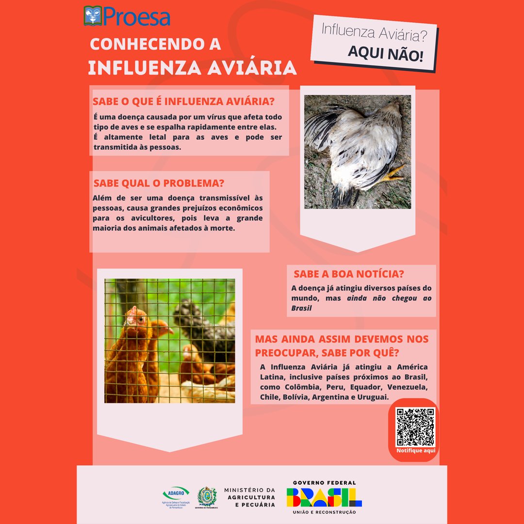 Adagro's tweet photo. Coordenação Estadual de Sanidade Avícola.

Também conhecida como “gripe aviária”, a Influenza é uma doença viral altamente contagiosa, que afeta aves domésticas e silvestres, causando graves sinais clínicos e altos índices de mortalidade, atingindo a..+ https://t.co/icmWsIfsAW