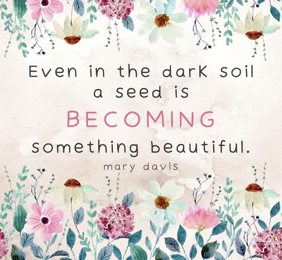 StephVic926's tweet photo. Can’t always see it 🌱…but things are slowly growing below the surface 🌻 https://t.co/IYbhtQUttO