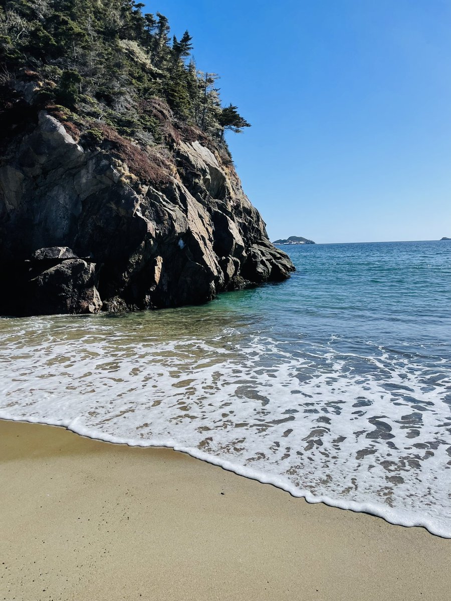 valene_roach's tweet image. Exploring the Caribbean or good old Burgeo NL? #SandbanksProvincialPark #Burgeo #Calmbeforethestorm #Weatherphoto @NLtweets @weathernetwork @EddieSheerr @ExploreNL
