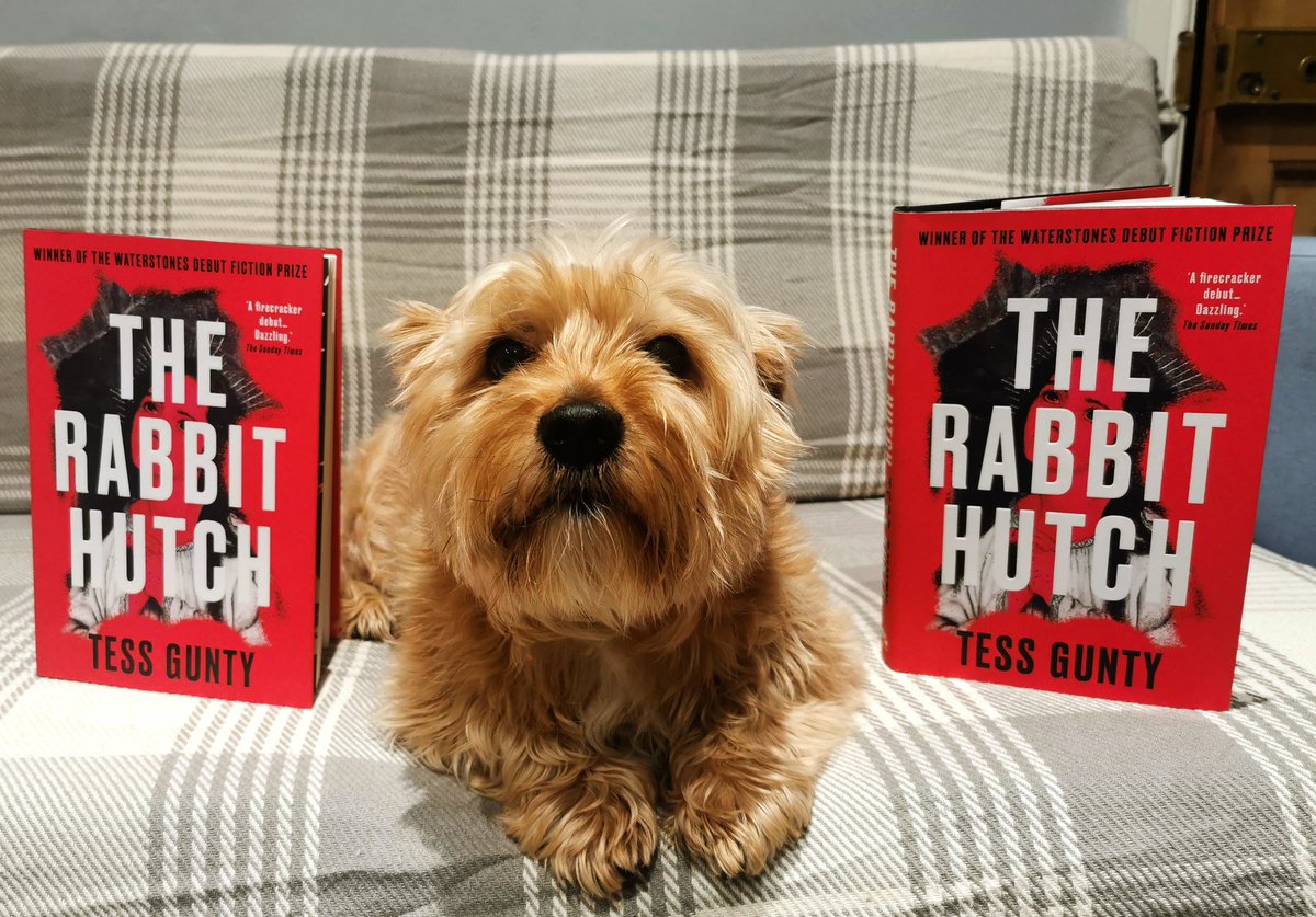 BenjiandBooks's tweet image. Would anyone on #booktwt #BookTwitter like a free copy, of #TheRabbitHutch postage covered on me?
 I have a cognitive disability and totally forgot I'd bought one, and then bought another the following day. 🙈 They both arrived this morning from @Waterstones 😂