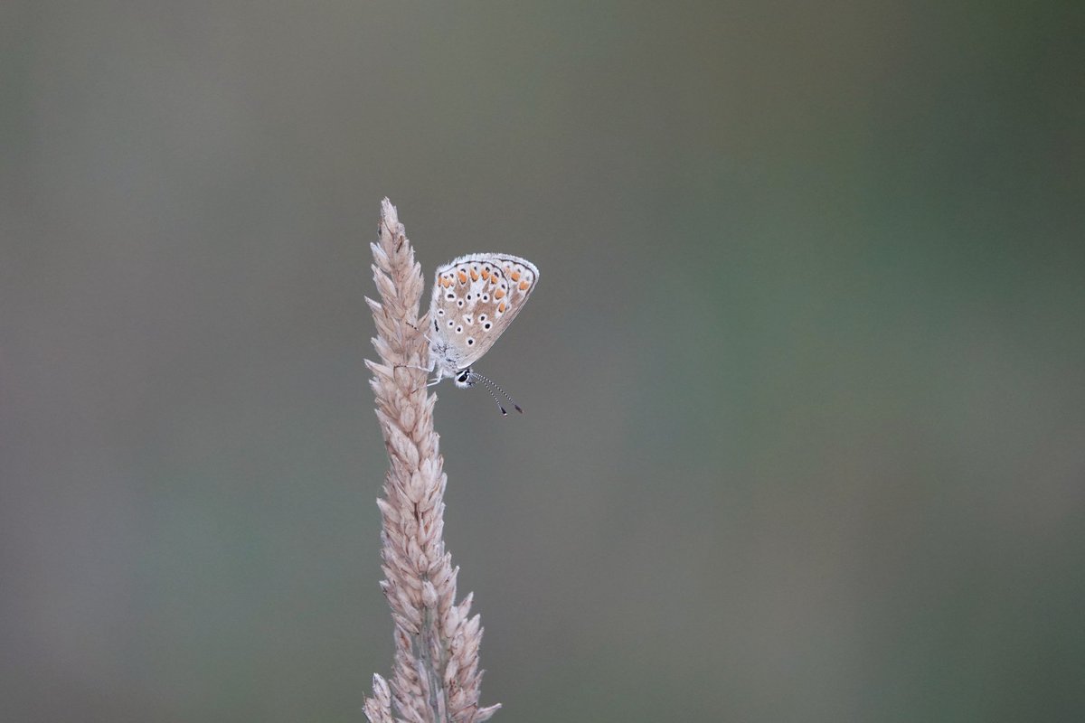 We kunnen #nietzondernatuur