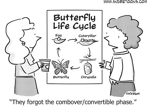 AmHistoryHub's tweet image. #TimeToLaugh #LearnAboutButterfliesDay