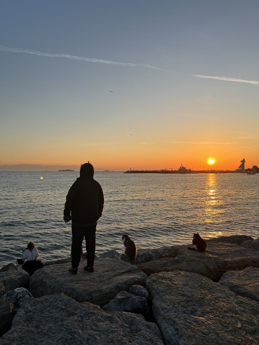 Emir Özyakışır (@emirozyak) on Twitter photo 