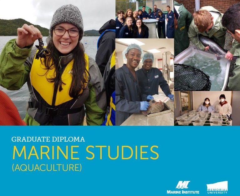 MI's GradDip in Marine Studies (Aquaculture) prepares degree-holding students interested in specializing in the field of aquaculture development to advance their roles in the Canadian and global aquaculture industries. Apply now 👉 ow.ly/r1x550NhRSg #mistudents #migrad