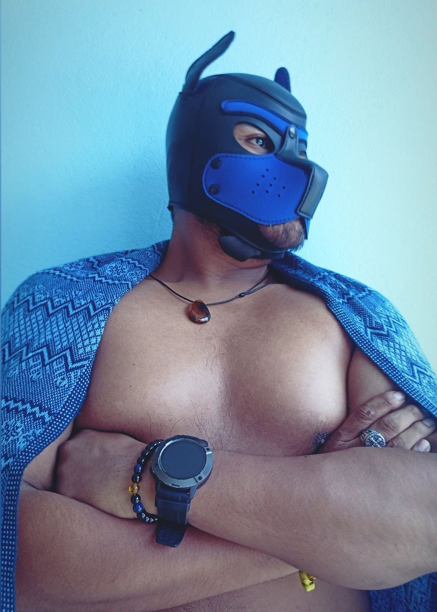 DanAkbal's tweet photo. #puppy #perrote #Akbal #gordito https://t.co/NvihvrO9zQ