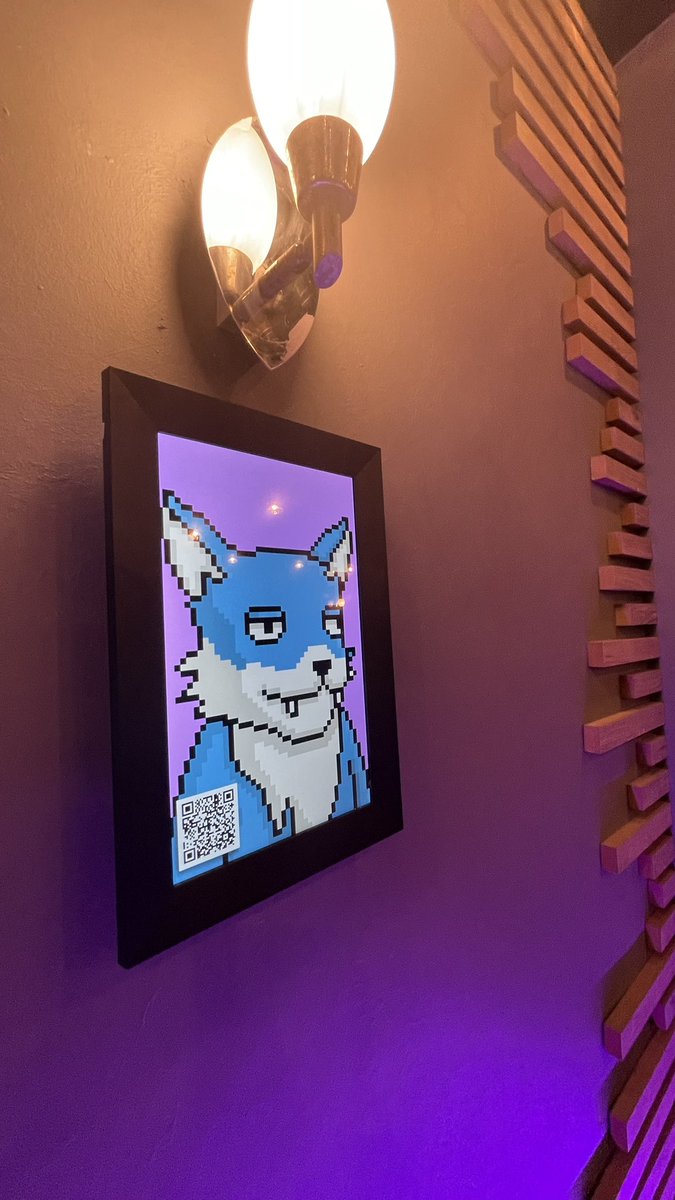 kasmiyouness1's tweet photo. We’re recording a promo for our @PrivateFoxes IRL coffee shop, if you would like to showcase your NFT to the whole world please reply or dm me your NFT and it’s ID (open for 3 hours) so we can display it on our NFT tablets. This is for all #Solana NFTs and not just Private Foxes. https://t.co/MBGfvnJ4Zn