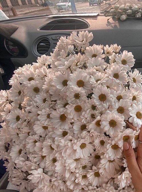 قافية الشعر (@1qafal) on Twitter photo 