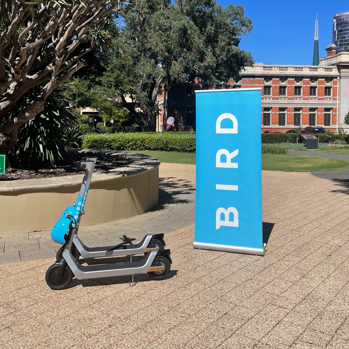 We're thrilled to be launching in @CityOfPerth this weekend! As of this weekend, Bird will be available. Download the Bird app, and keep your eye out, we’re ready to take you where you need to go. 🛴 Download the Bird app now: go.bird.co #micromobility