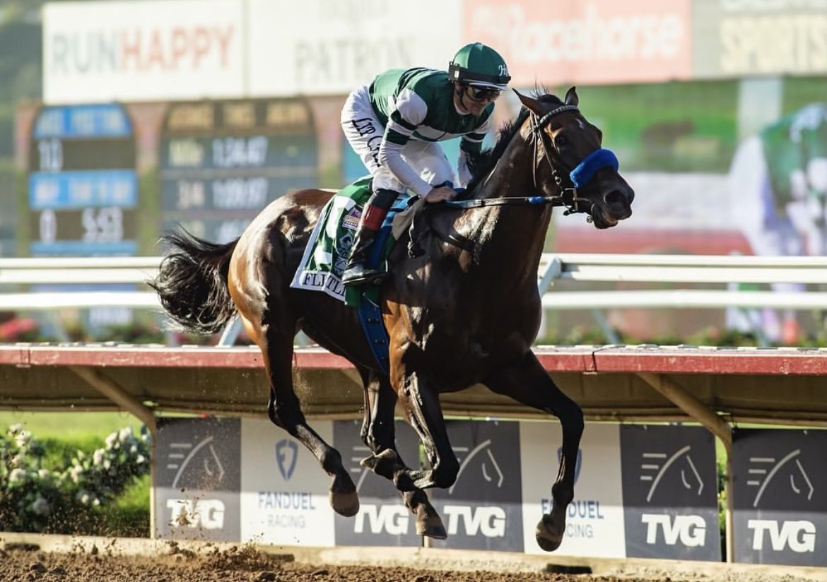 Hronis_Racing's tweet photo. In honor of Flightline’s birthday, we’re looking back at some special moments from his career! 🤩

📸 Katie Jones, Eclipse Sportswire, and Benoit Photo https://t.co/V3xsmV6MGb