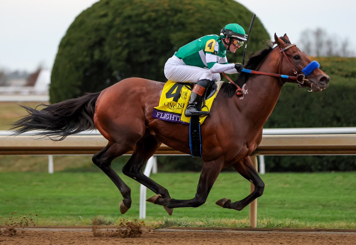 Hronis_Racing's tweet photo. In honor of Flightline’s birthday, we’re looking back at some special moments from his career! 🤩

📸 Katie Jones, Eclipse Sportswire, and Benoit Photo https://t.co/V3xsmV6MGb