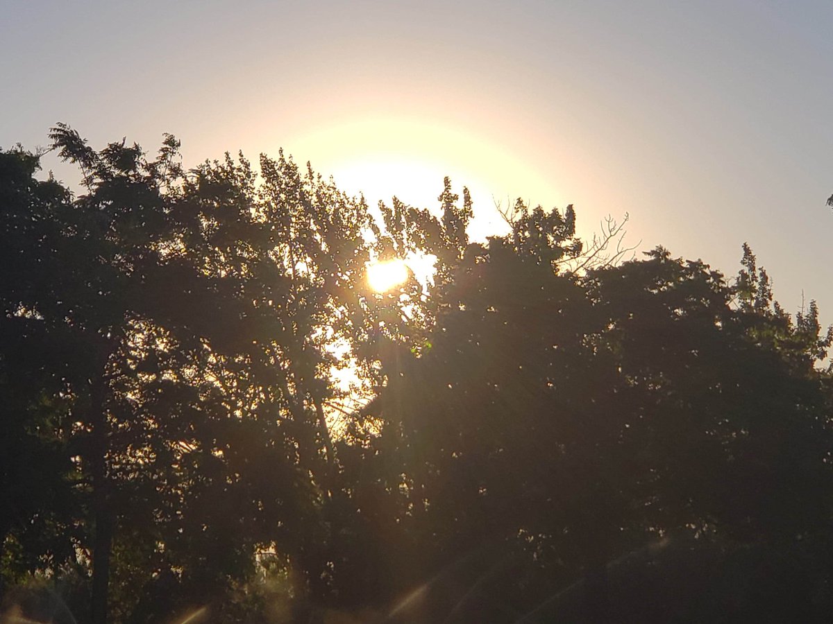 Urbanaro tweet media