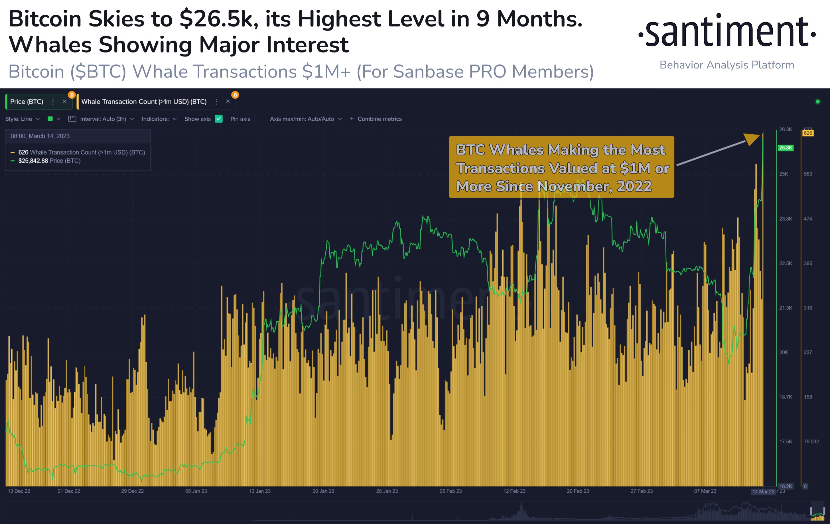 Bitcoin Whale Transaction Count