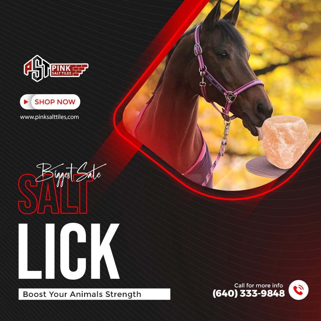 pinksalttiles's tweet photo. Himalayan licking salt is the best to give to your horses as it is 100% natural and provides essential minerals to their bodies.
Visit our website;
https://t.co/7Wdu8t36is
👆👆👆
#lickingsalt #Horses #horselick #saltblock #pinksalttiles
@Chef_Arella 
@JayWilliamsBey1 https://t.co/aZjmu74nsz