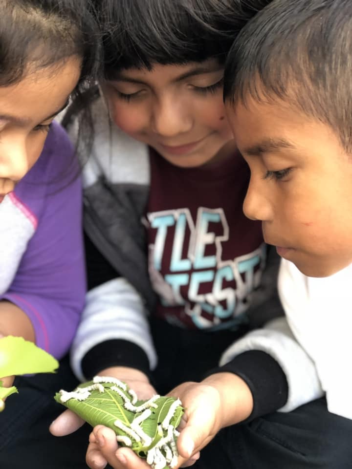 Milken's tweet photo. "I love teaching science because it inspires, excites, engages, and unites students of all ages." — Chemist Maria DeBruin (NJ '17)

For #ScienceEducationDay #piDay2023, we asked #MilkenAward #STEM educators why they like teaching science. Here's what they said.... https://t.co/ZgXTb1OCJn