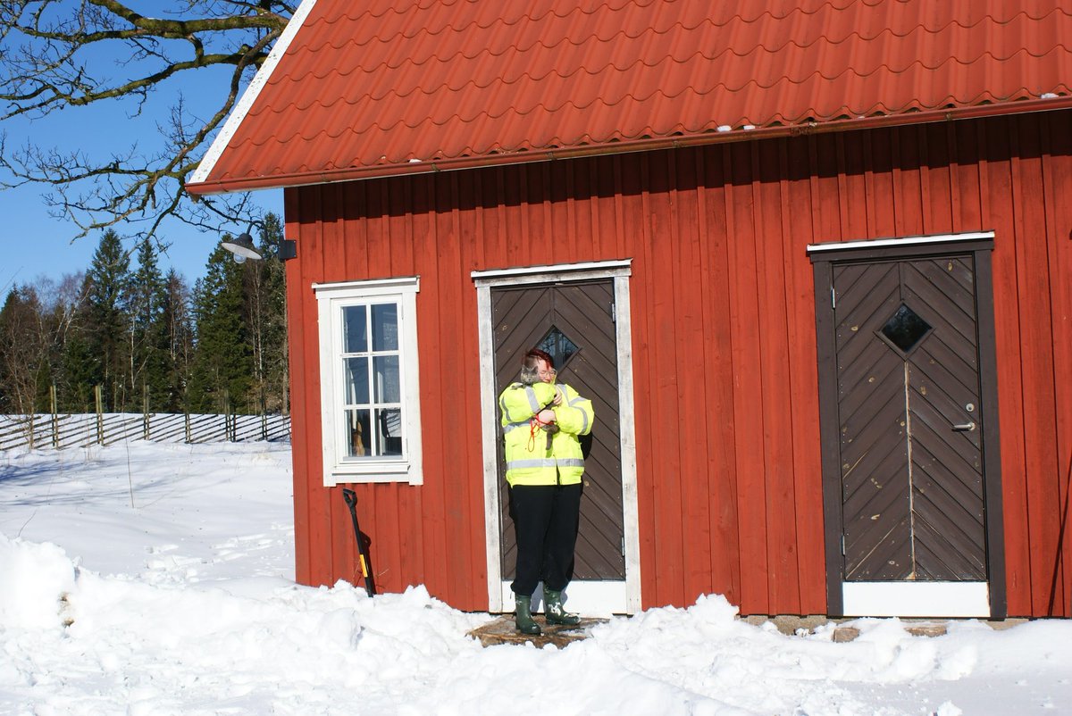 therealFriedass's tweet photo. Här är jag i pappas jacka, Max byxor, mammas stövlar med en jävla ladugårdskatt i sele. #torp1 https://t.co/y5odsvfYYQ