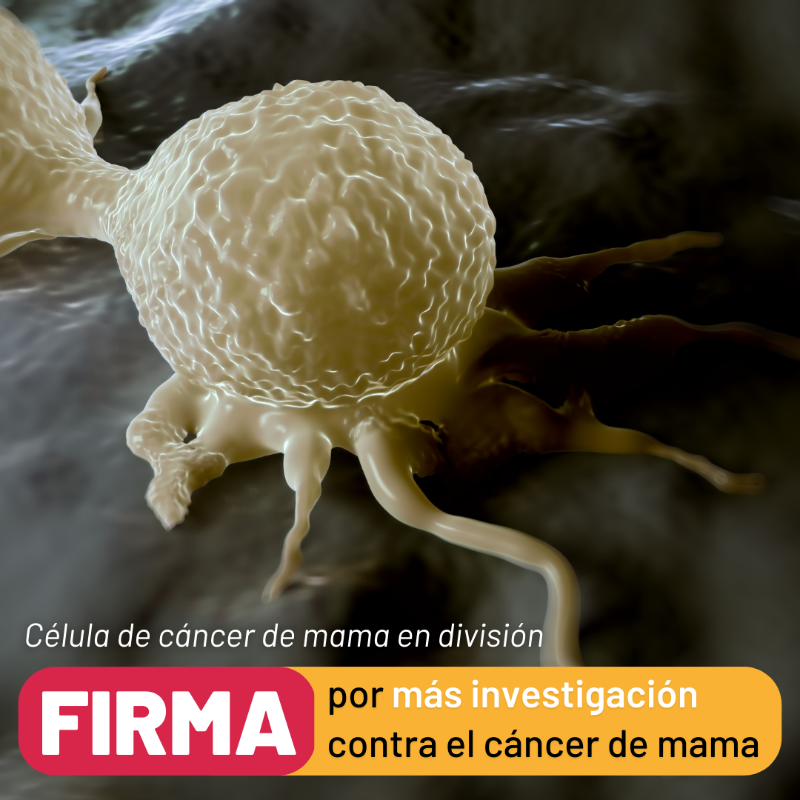 criscancer's tweet photo. 🔬🧡 La investigación ha conseguido que el 80% de mujeres sobrevivan al cáncer de mama y solo la investigación podrá conseguir que el 20% restante pueda vencer a esta enfermedad.

Hoy te pedimos que apoyes nuestra petición al Gobierno para seguir investigando el cáncer de mama.