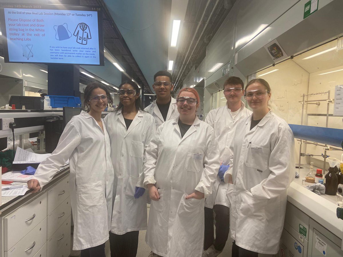 Alicia Sanz Maestro tweet media