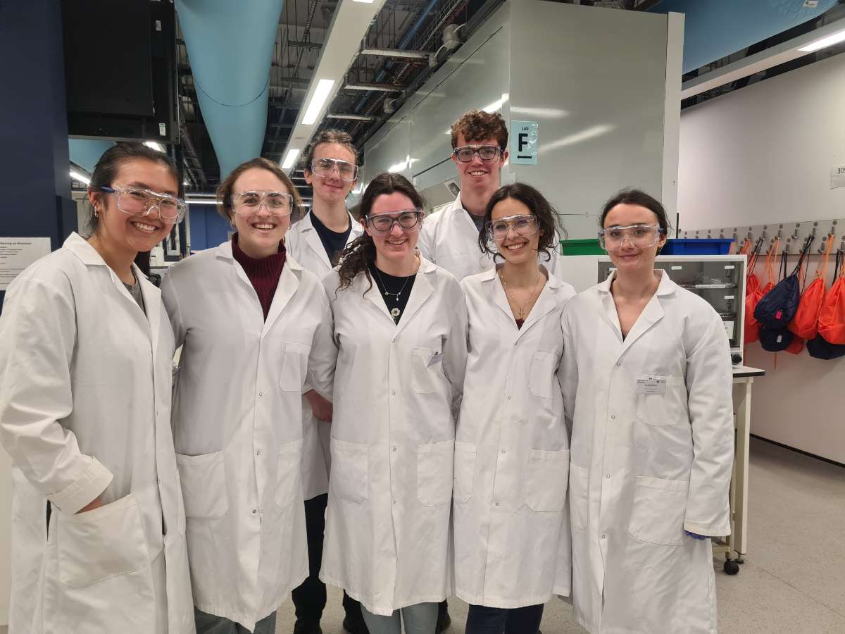 Alicia Sanz Maestro tweet media