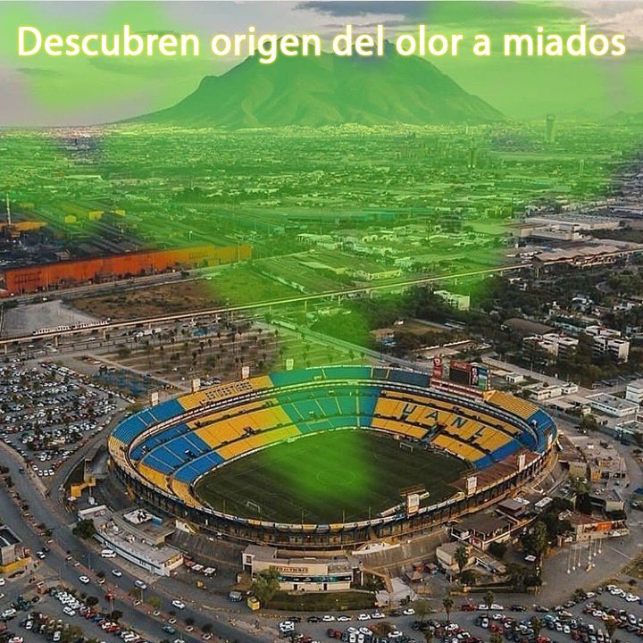 KermitMty's tweet photo. https://t.co/SwQhy298xb