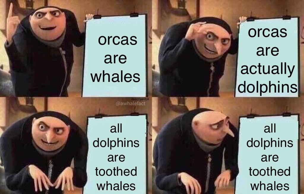 awhalefact's tweet photo. because it still needs to be said https://t.co/GDTz3VDAwC