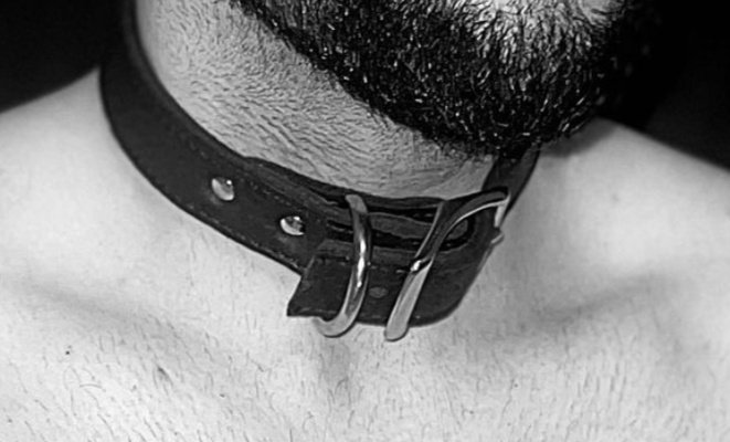 ast_arot's tweet photo. Listo para el paseo. 
#bdsmroleplay, #puppy, #slave. https://t.co/7tcEVng0Px