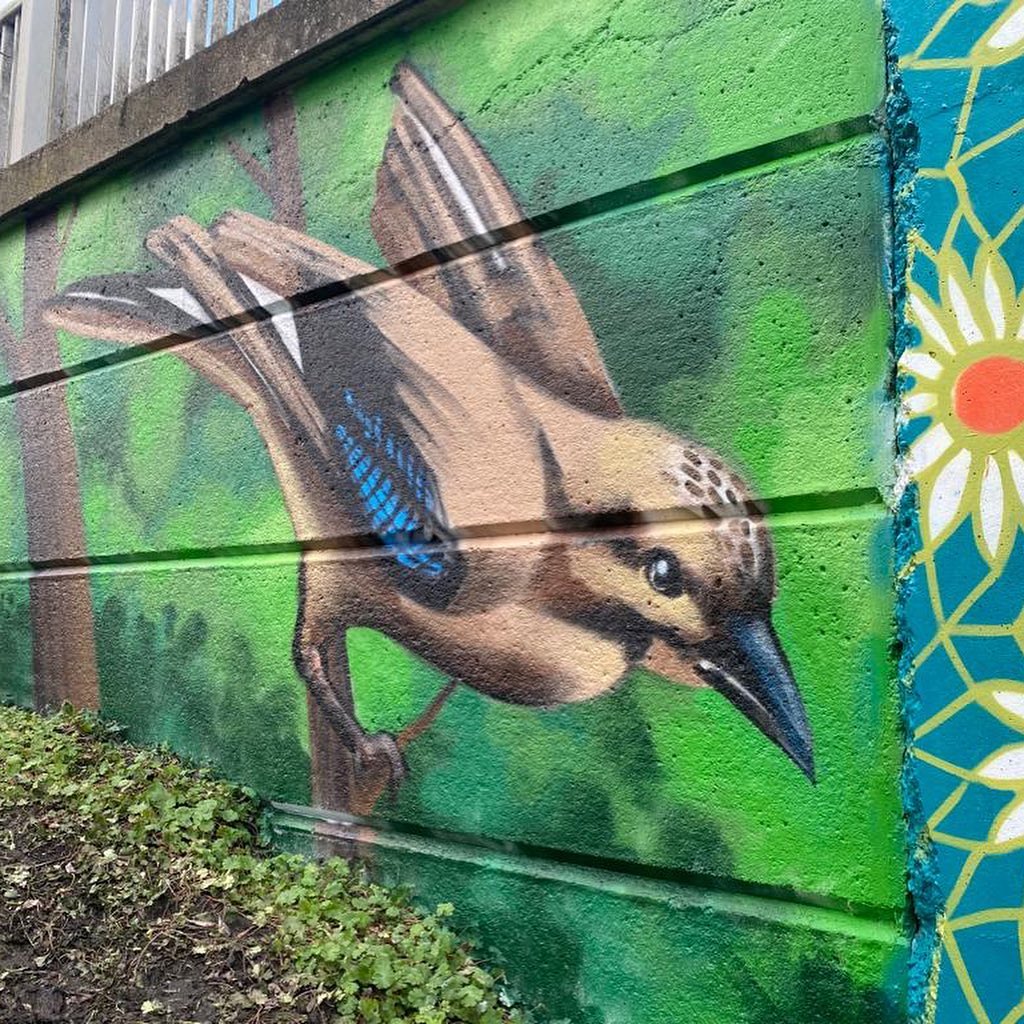 ChelmsCouncil's tweet photo. Have you seen the beautiful upgrade Rainsford Lane underpass has received?

Our Community Safety team commissioned local artist #BraveArts to create artwork for Admirals Park to make the underpass more inspiring. https://t.co/B5oRhrNl3N