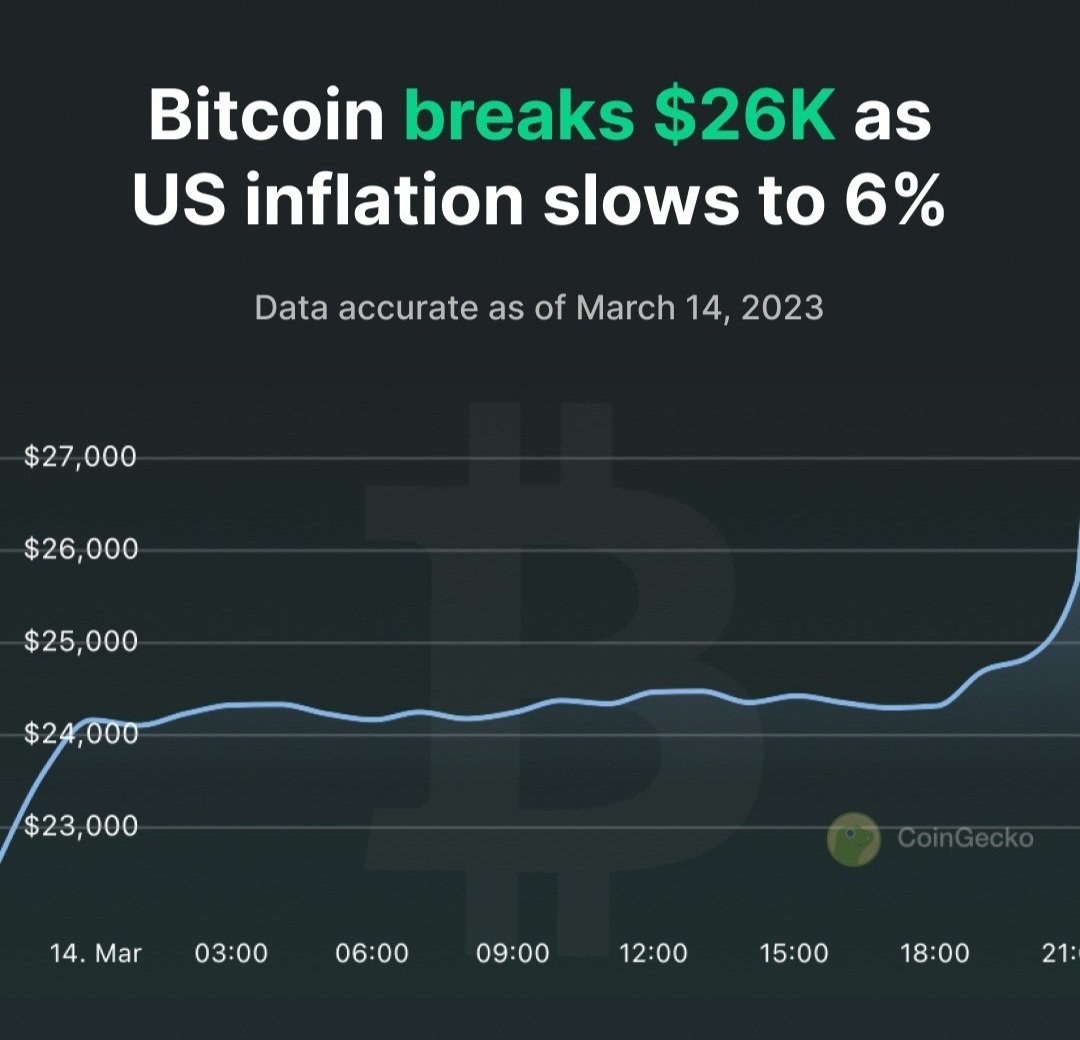 Bull Trap 🐂 

$8,000 is yet to be Witnessed 😇