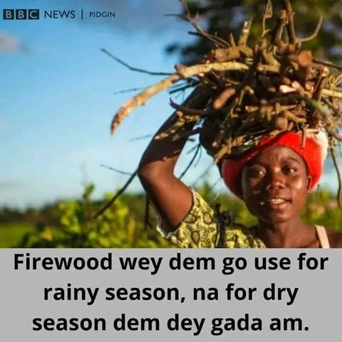 OguduSteven's tweet photo. Work hard and smart now u are young...no let old age humble u oo https://t.co/qtQwrbhpje