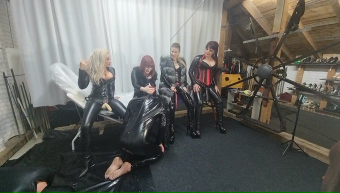 Cock sucking contest with my girls and my slaves https://t.co/zR380nUTU4 https://t.co/u888VFCtvN
