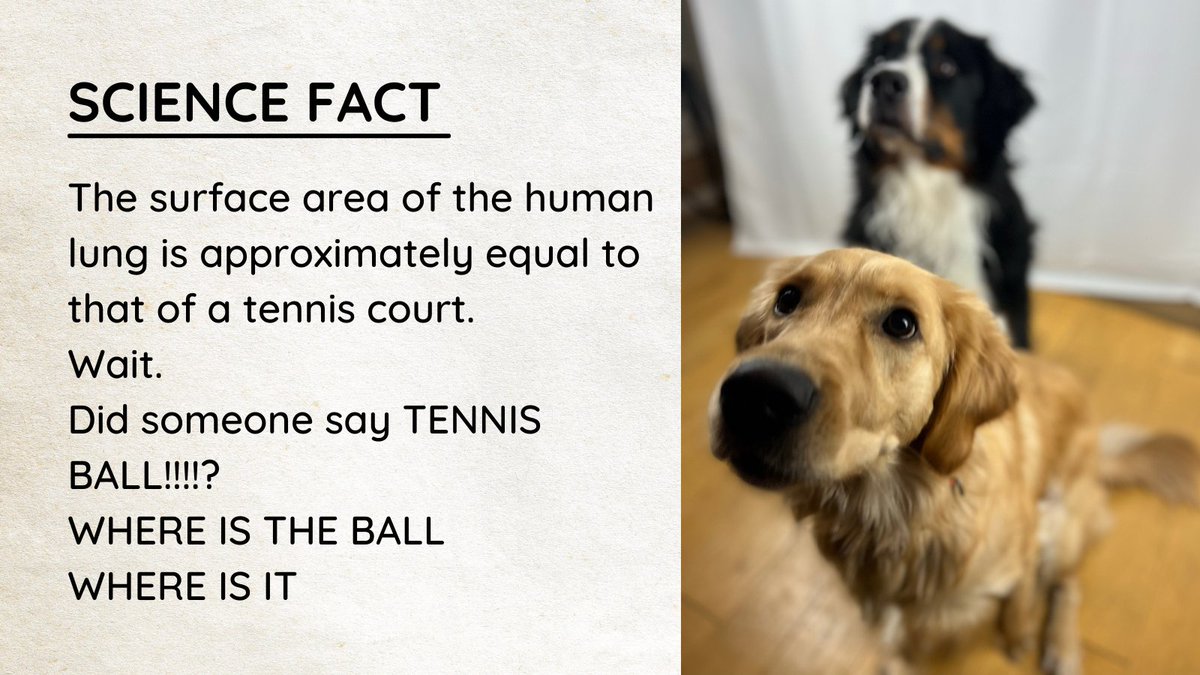 Bunsen and BEAKER on Twitter "The Science Fact Of The Day! science"