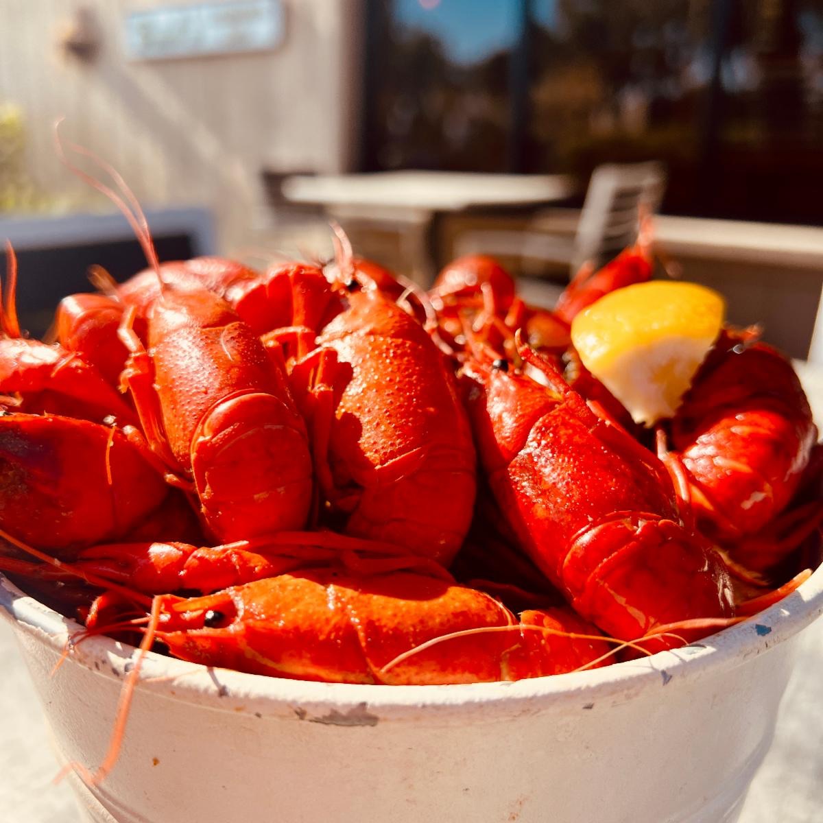 Buds Lousiana Cafe tweet media