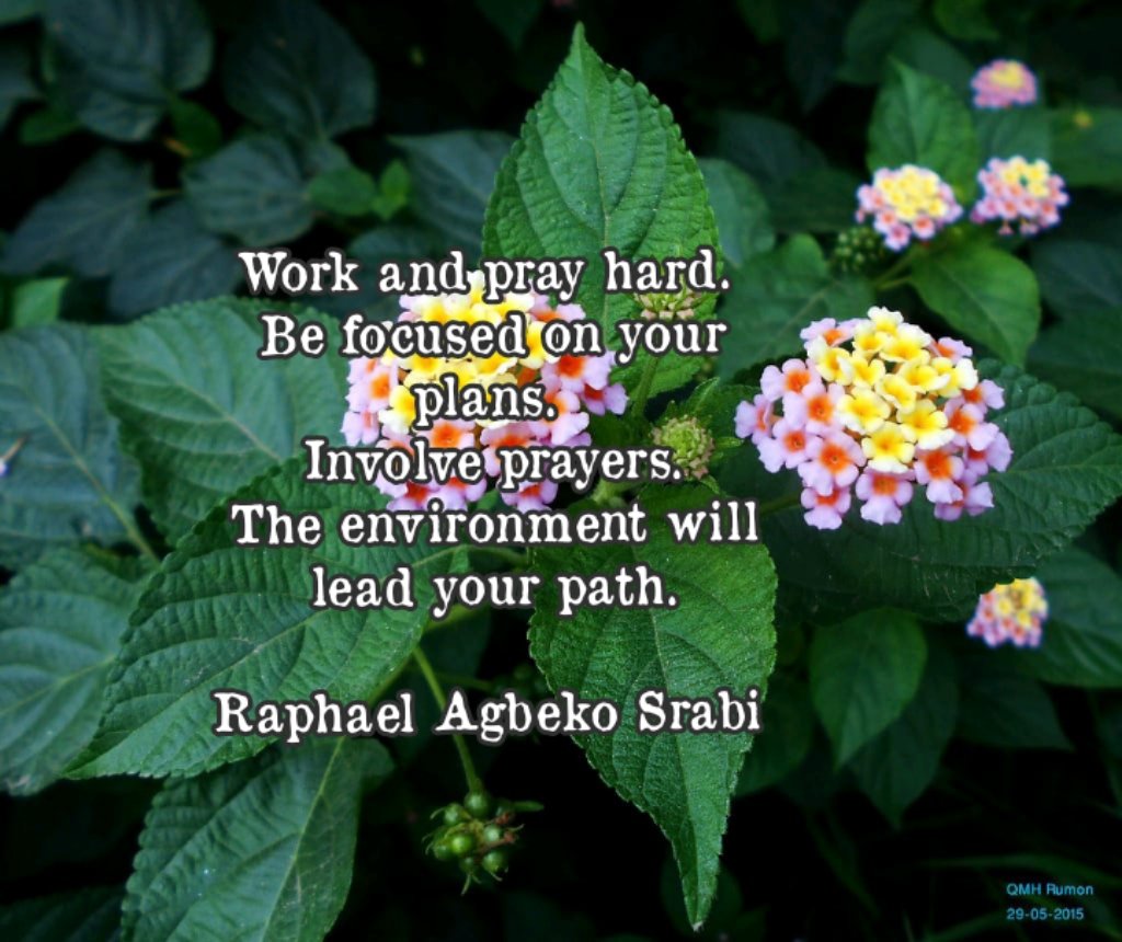 srabi_raphael's tweet photo. https://t.co/KwH174jrUI