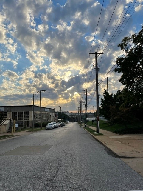 Happy #314Day  to all the people, businesses and institutions building St. Louis! Taking a lunchtime walk to the park from our office to celebrate the day and the city we love. <a href="/GreaterSTLinc/">Greater St. Louis, Inc.</a> #STLMade <a href="/ForestPark4Ever/">Forest Park Forever</a> <a href="/explorestlouis/">Explore St. Louis</a> #tarltonletsbuild