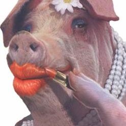 gregweatherdon's tweet photo. The phrase to put “lipstick on a pig” means making superficial or cosmetic changes to a product in a futile effort to disguise its fundamental failings. {Wikipedia} Many businesses, both small and large, condone this kind of behaviour Read More here 
https://t.co/YotwZuMMwH https://t.co/7wqXHQaGOg