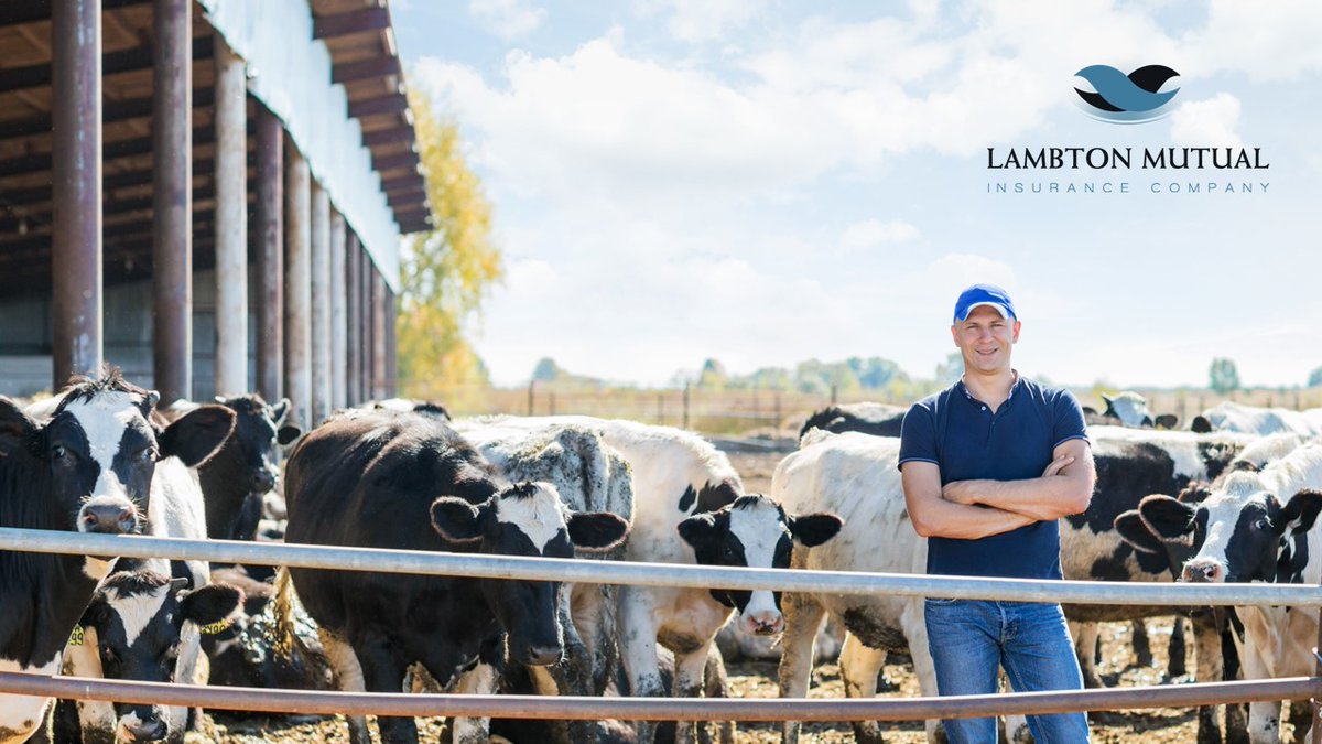 lambtonmutual's tweet photo. This Canadian Agricultural Safety Week, we are reminding all farmers, farm workers and farm families to take the time to do each farm job safely. After all, a job worth doing is worth doing well! Commit to #FarmSafetyEveryday #canadianagsafetyweek https://t.co/lJ8mmj1R6I