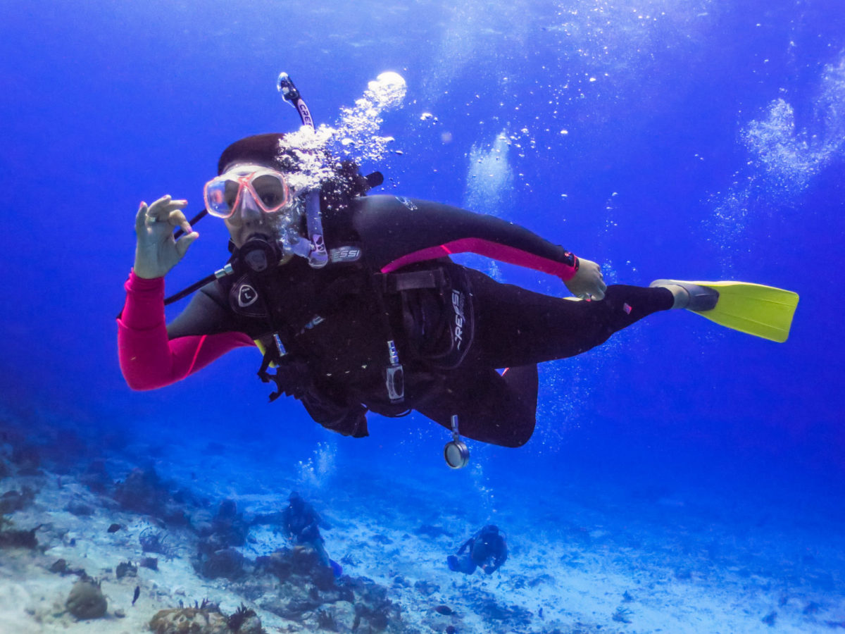 Shells_Travels's tweet image. What's on your travel bucket list? 

I'm so excited to be checking something huge off mine later this year 😃

TRAVEL | This Is My Ultimate Adventure &amp;amp; Travel Bucket List – What’s On Yours? campingwithstyle.co.uk/travel-this-is…