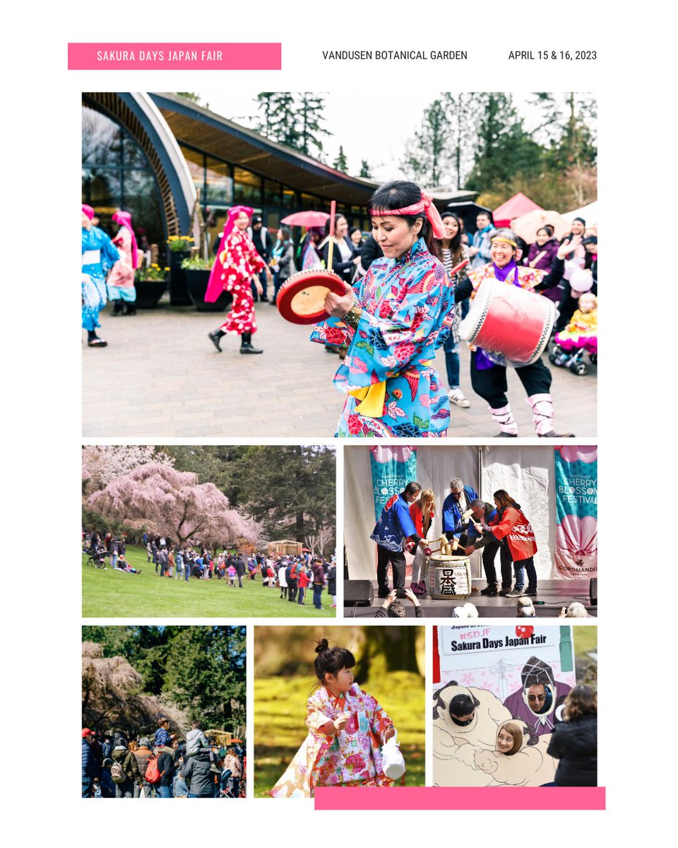 OfficialVCBF's tweet photo. 🌸 Experience Japanese culture at @JapanFair! Enjoy food, drinks, music, art, tea ceremony, festival food, sake, taiko drumming, theatre, and more. April 15-16, 2023 at @VanDusenGdn.
🎟️ Tickets on sale now at https://t.co/9y98L3R4zj. Don't miss out!
#SDJF #VanCherryBlossomFest https://t.co/FkJL6UParr