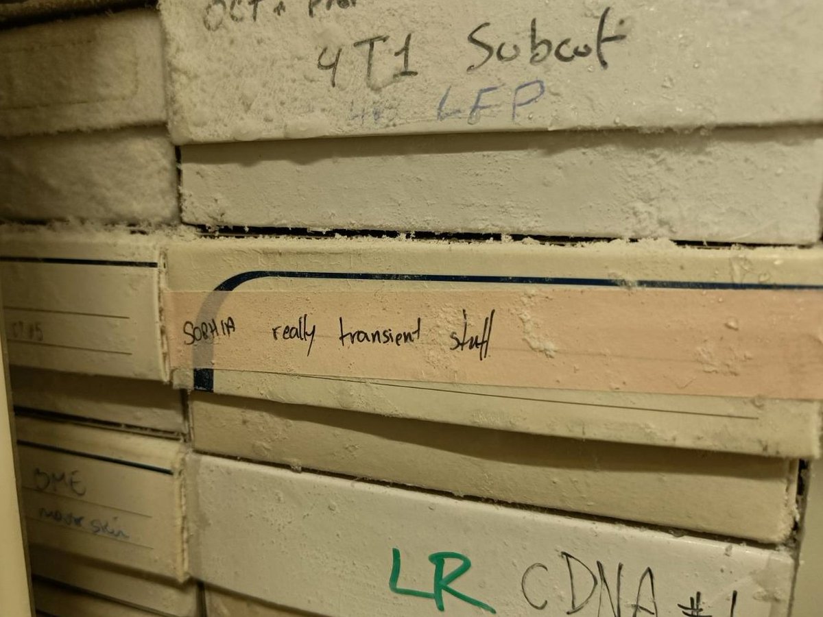 SigmaJuly's tweet photo. That -80 clean-out is going well... "really transient stuff" was frozen rock solid in the rack. https://t.co/Q9Joy12MFU